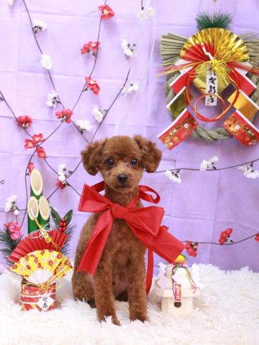 20230108リッチくん